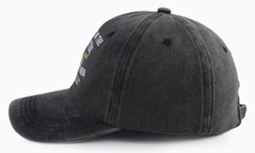 Built in The Nineties Eighties Seventies Sixties Fifties Forties Thirties Original Baseball Hat for Men Women3