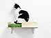On2 Pets Cat Shelves Wall-Mounted Cat Trees Cat Furniture for Climbing, Playing and Relaxing, Set of 2, Indoor Cat Shelf Made in USA… (Zen Green, Box)