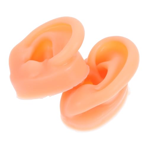 VALICLUD VR͌^yA _ȐlH COfBXvCX^h Kpf e炨ѓꃁCNAbv