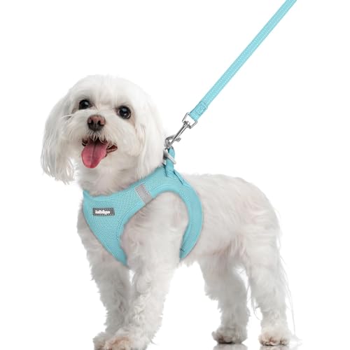 Image of rabbitgoo Dog Harness Medium Sized and Leash Set, Step-in Puppy Pet Vest