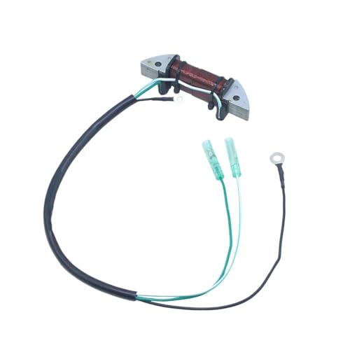 JaYYue Compatible with Older 6F6 2-Stroke 40HP Outboard Engine Coils