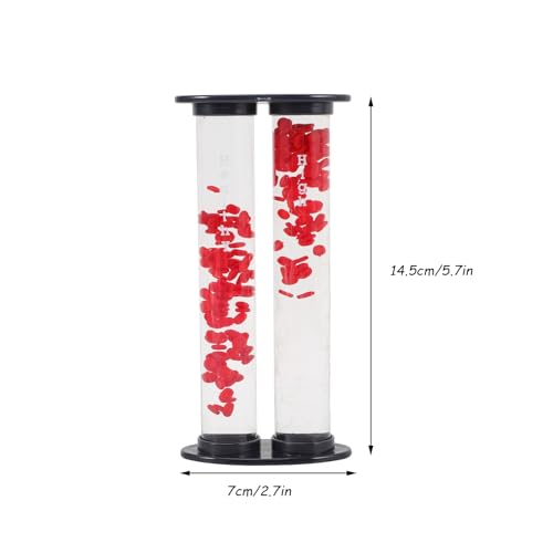 Image of Model for Teaching Educational Display for Comparison Anatomical Demonstration Tool for Schools and Hospitals High-Grade Material Simple Design