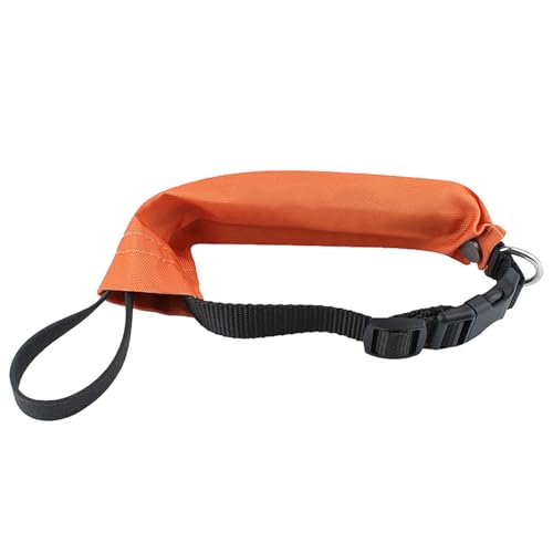 Collar de perro retráctil automático para entrenamiento, cinturón para caminar para perros grandes y pequeños, juego de correa automática para collar de perro