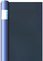 Offenbarungen der Schwester Mechthild von Magdeburg oder das fliessende Licht der Gottheit 3534016106 Book Cover