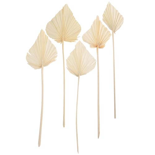 Arreglo decorativo de hoja de palma seca blanco 5 piezas miniatura 1