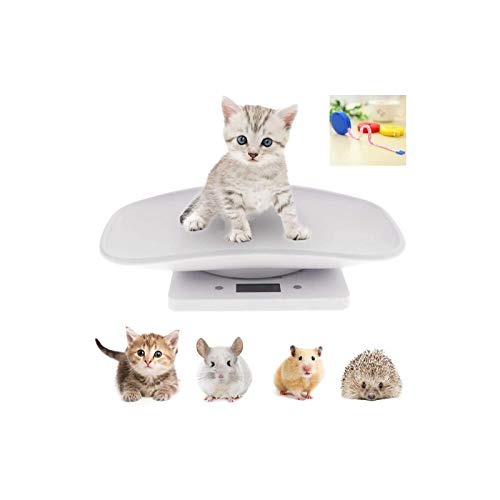 Digital Pet Scale, Small Kitchen Scale with Tape Measure, Multi-Function LCD Electronic Scale with 22 lbs Capacity, Smart Animal Scale High Precision Digital Scale for Hamsters/Tortoise/Kitten