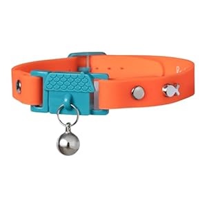 Tangerine Cat Collar with Bell. Cat Friendly Award Winner. Approved by Vets and Cat Experts. Breakaway Cat Collars Quick Release. Kitten Collar. Won’t Rub Fur. Lightweight, Soft & Comfy