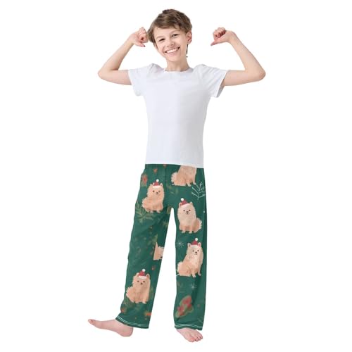 ZZXXB Pomeranian Mistletoe Branches Boys Long Pants Soft Trousers Elastic Waist Kids Lounge Bottoms with Pockets S-XL3