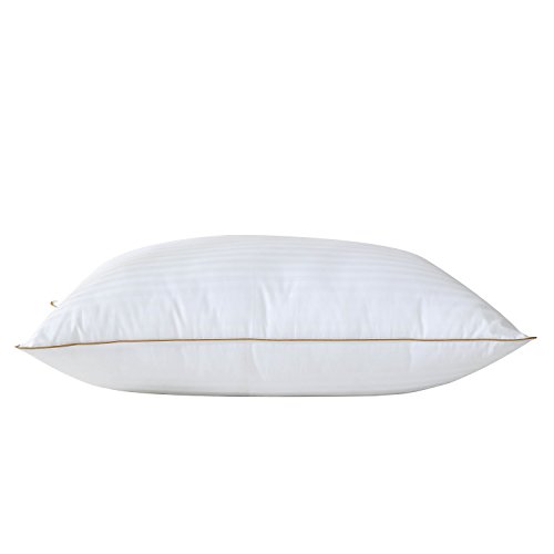 Acrafsman Luxury Goose Down Pillow Insert,1000Thread Count 100% Egyptian Cotton Fabric Stripes Cover,Soft