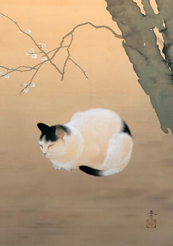 Hct_L~ A2(420o×594ojA[g|X^[ { G CeA ǎ