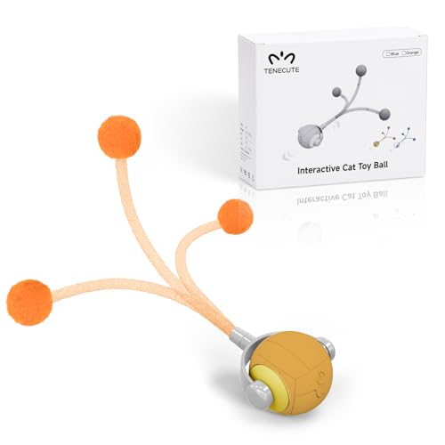 Cat-Toys-for-Indoor-Cats-Interactive-Cat-Toy-Ball-with-Pom-Pom-Tails-Automatic-Cat-Toy-Self-Play-Exercise-Toy-to-Relieve-Boredom-for-Kitten-Adult-Cats-Orange Cat Toys for Indoor Cats, Interactive Cat Toy Ball with Pom-Pom Tails, Automatic Cat Toy Self Play Exercise Toy to Relieve Boredom for Kitten & Adult Cats (Orange) - Image 1
