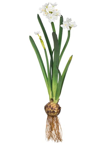 Sullivans Paperwhite Flower With Bulb Stem 20", White Narcissus Stem With Bulb, White Small Daffodil Floral Stem Artificial Flowers cover
