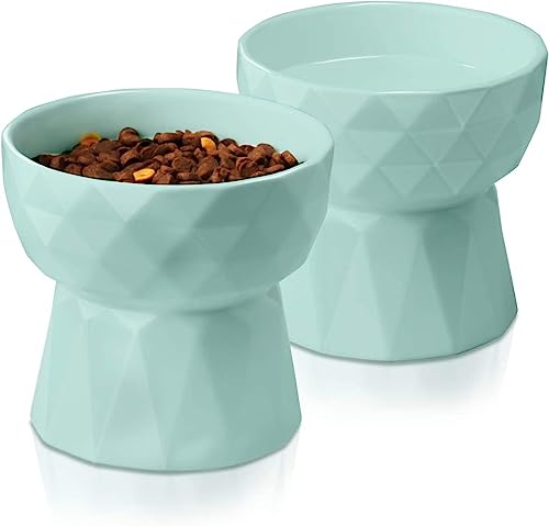 Image of PETANGEL Ceramic Eelevated Anti Vomiting Pet Food Bowl (Pack of 2 (Oval Mint Green))