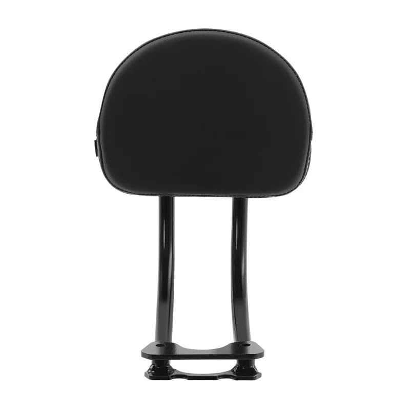 Kit dossier passager arrière moto haut de gamme pour Sportster S