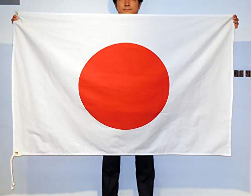 {E̊ { ȓViؖȂ̓`IȓVRfށj100×150cmE㉺ngRt