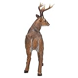 Design Toscano Buck mit dem großen Geweih Hirschstatue, Maße: 71 x 19 x 62 cm 4.5 kg - 3