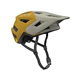IXS