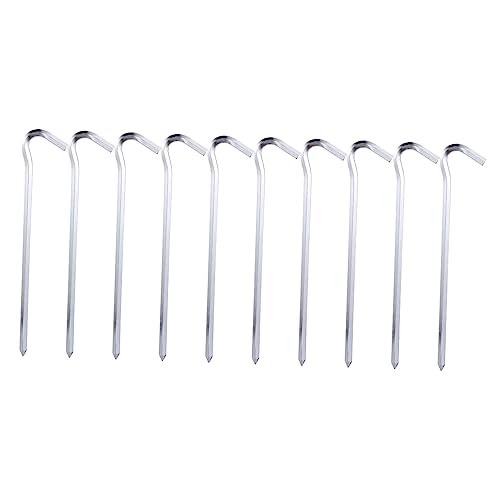 CONGARTENO 10 AEghApyʑϕHLvegyO ȂtbNt Zp`݌v nCLOނ nʌŒpXe[NX