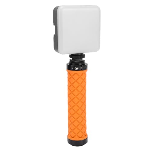 Éclairage de Photographie Portable Variable 5600K pour Studio Mobile