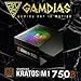 GAMDIAS RGB Gaming PC Power Supply 750W 80 Plus Bronze Certified 750 Watt PSU for Computers with Active PFC, Kratos M1-750B