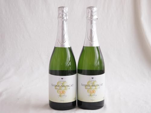 2{Zbg (RYVC}XJbg100 Xp[NO10xÌ) 750ml×2{