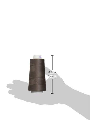 American & Efird Maxi-Lock Cone Hilo 3000 Yardas Beige Taupe miniatura 2