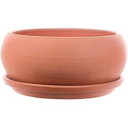 Maceteros Quillota ALFAREROS DAMIAN CANOVAS Maceta DE Barro + Plato Modelo Pauly. Medidas 25DIAMETO X10ALTURA.