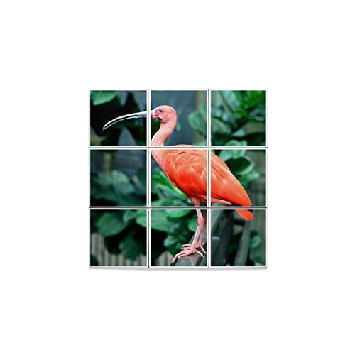 Carreaux céramique décoratifs avec oiseau exotique pour cuisine