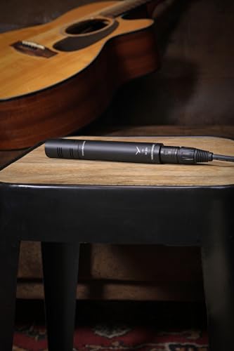 Image of beyerdynamic M 201 Hypercardioid Dynamic Instrument Microphone