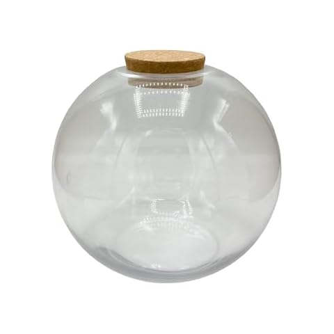 Silver Circle Products Unique Gardener: Glass Terrarium - 8” with Cork - Gardening Planter, Glass, for Succulents, Herbs, Plants, Flowers & More Cover