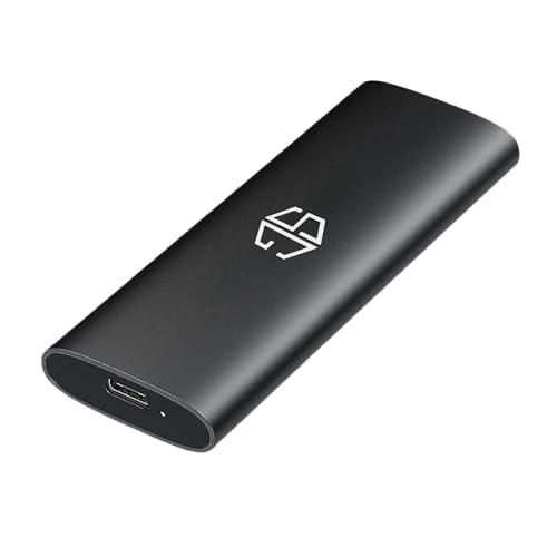 SG, Hard Disk Esterno Portatile con disco SSD interno da 256 Gb...