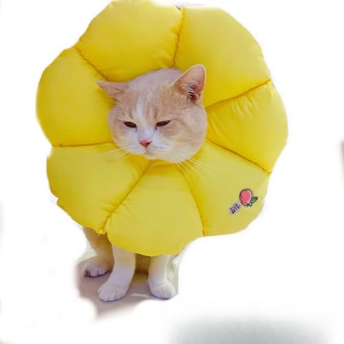 Yellowant ybgpt[ L̎×p 킢s[` Snǂی (F,Mi20-30jcm)