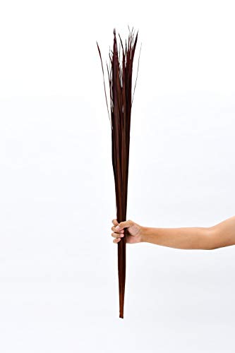 Image of Leewadee Tall Vase Filler, Natural Grass Stems - 2 Bunches of Colored Branches for Vases, Carefully Dried Twigs for Home and Bar Decoration, 45 inches, Bordeaux