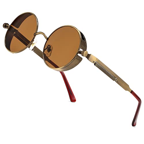 HJSTES Vintage Round Steampunk Sunglasses for Women Men Circle Gothic Glasses Retro Metal Frame