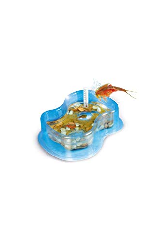 Science et jeu : Mes premiers Triops Clementoni Jeux - vue 5