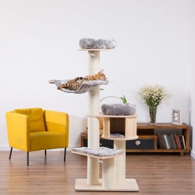 Natural Paradise – Tiragraffi Magnolia XL Plus | Con tronchi spessi | H 175 x L 105 x L 90 cm (grigio chiaro)