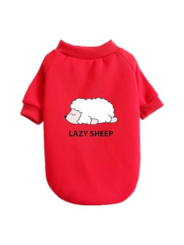  킢 r qcW ybg hbOEFA ̕ L ybgEFA h _炩 іh~   t@bV U ybgpi