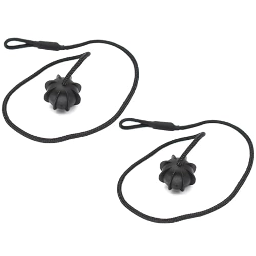 Sangle d'étagère pour colis Skoda Octavia Rapid cordon coffre 2 pcs robuste