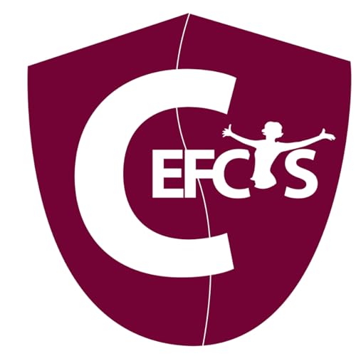 Les #CyberStories racontées par les femmes (CEFCYS production) cover art