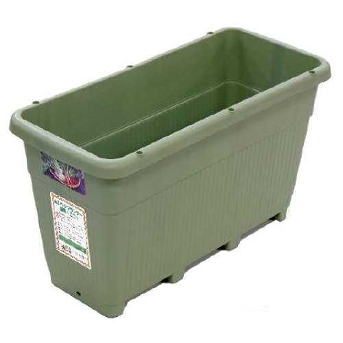 ぺんぺん草様オーダー専用ページ ATELIER Z Beta 5 CUSTOM TP-Purple Matching Head 国産 5弦