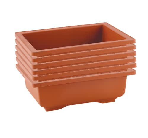 Brown Rectangle Shallow Premium Plastic Bonsai Species Tree Plantation Pot for Dwarf Umbrella Ficus Adenium Jade Maple Snow Rose Plants - 9 Inch 3 Pots