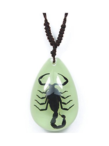 Real Black Scorpion Necklace Glow in the Dark