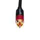Amazon Basics RCA Cinch-Audiokabel 2-Stecker auf 2-Stecker, 10 m, Schwarz