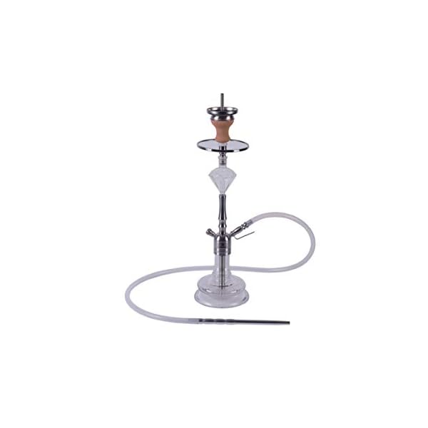 DIAMOND HOOKAH Premium Lil Hope Shisha Set, Wasserpfeife Shisha Edelstahl Komplettset mit 4 Anschlüsse/Schläuche. 18/8…