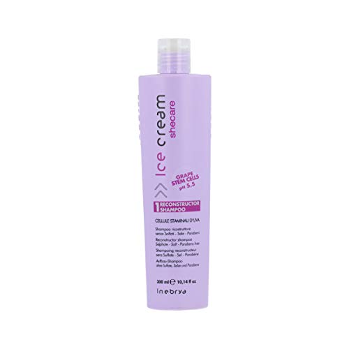 Preisvergleich Produktbild Inebrya SheCare Shampoo Reconstructor 300 ml