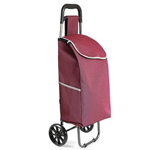 AYCPG Leichtes, zusammenklappbares Wagen, Koffer, 2 Räder, aus PU-Kunststoff, ergonomischer Griff, faltbar, Oxford-Stoff…