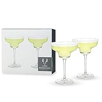 Algopix Similar Product 3 - Viski Raye Angled Stemmed Margarita