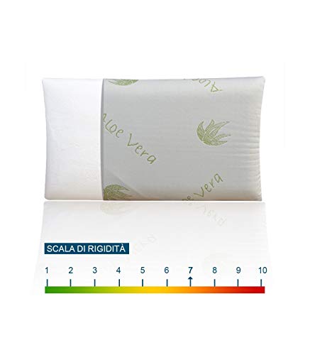 Simply Foam Coussin en mousse à mémoire de forme à mémoire de forme 100 % en mousse à mémoire de forme avec tissu déhoussable Housse extérieure en tissu Aloe Vera Cover