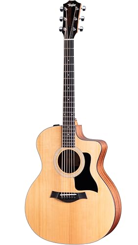 Taylor 114ce Grand Auditorium Acoustic-Electric Guitar with Structured Gig Bag