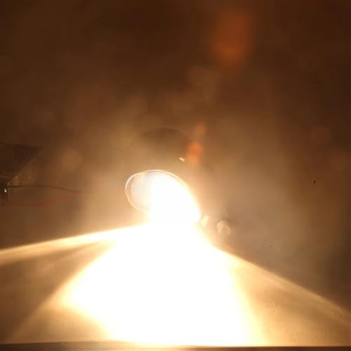 Phares antibrouillard halogènes Malibu pour remplacer des optiques usés - 7